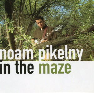 Noam Pikelny - In The Maze (CD) (NM or M-, VG+)