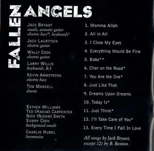 The Fallen Angels  - Rain Of Fire (CD) (VG, NM or M-)