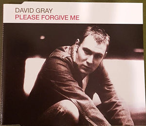 David Gray - Please Forgive Me (CD) (NM or M-, VG+)