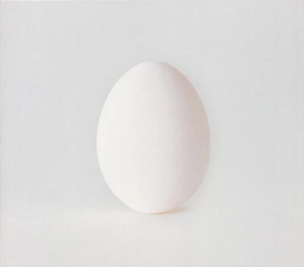 Wilco - A Ghost Is Born (CD) (NM or M-, VG+)