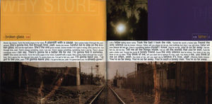 Why Store, The - The Why Store (CD) (VG+, VG+)