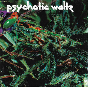 Psychotic Waltz - Mosquito (CD) (VG+, VG+)