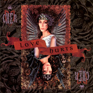 Cher - Love Hurts (CD) (NM or M-, VG+)