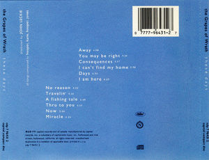 The Grapes Of Wrath - These Days (CD) (VG+, VG+)