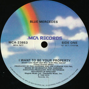 Blue Mercedes - I Want To Be Your Property (Vinyl) (VG+, VG)