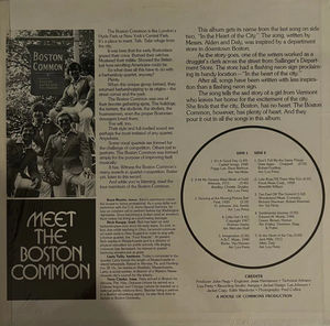 The Boston Common - In The Heart Of The City (Vinyl) (VG+, VG)