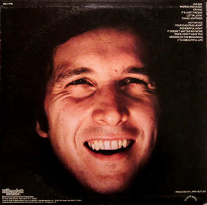 Don McLean - Chain Lightning (Vinyl) (VG+, VG)