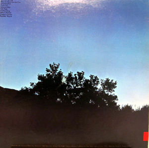 Arlo Guthrie - Last Of The Brooklyn Cowboys (Vinyl) (VG, VG)