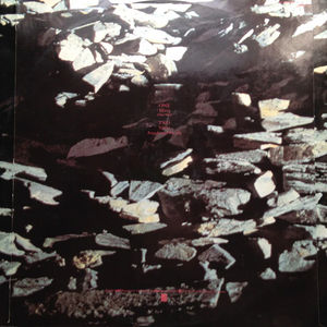 Echo & The Bunnymen - Silver (Tidal Wave) (Vinyl) (VG, Generic)