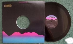 The Bus Boys - Cleanin' Up The Town (Vinyl) (VG+, VG+)