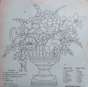 Ty Segall - Horn The Unicorn (Vinyl) (VG+, VG+)