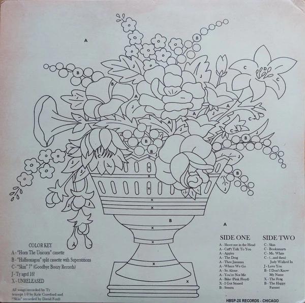 Ty Segall - Horn The Unicorn (Vinyl) (VG+, VG+)