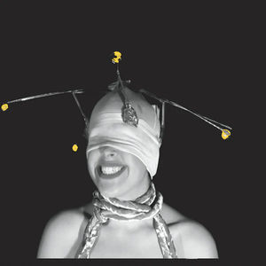 Shimmer  - Shimmer (Vinyl) (M, NM or M-)