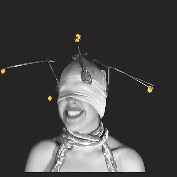 Shimmer  - Shimmer (Vinyl) (M, NM or M-)