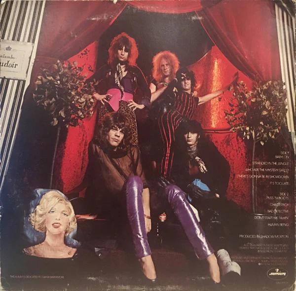 New York Dolls - Too Much Too Soon (Vinyl) (VG+, VG)