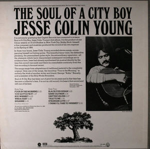 Jesse Colin Young - The Soul Of A City Boy (Vinyl) (M, VG+)