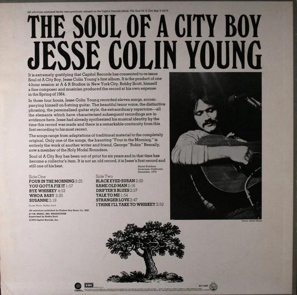 Jesse Colin Young - The Soul Of A City Boy (Vinyl) (M, VG+)