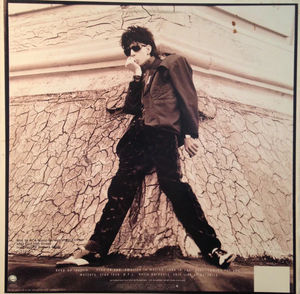 Ric Ocasek - This Side Of Paradise (Vinyl) (M, NM or M-)