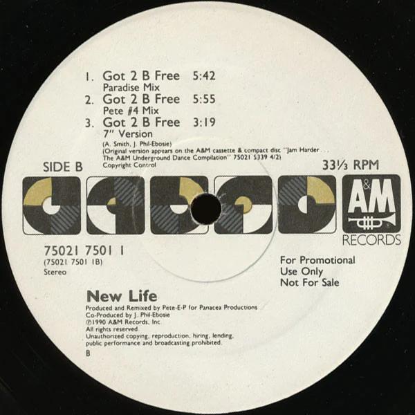 New Life - Got 2 B Free (Vinyl) (VG+, Generic)