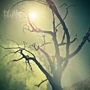 Rwake - Rest (Vinyl) (NM or M-, VG+)