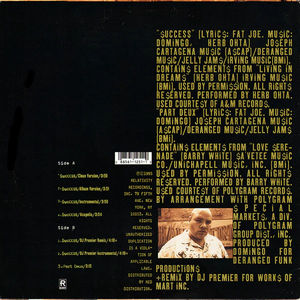 Fat Joe - Success (Vinyl) (NM or M-, NM or M-)