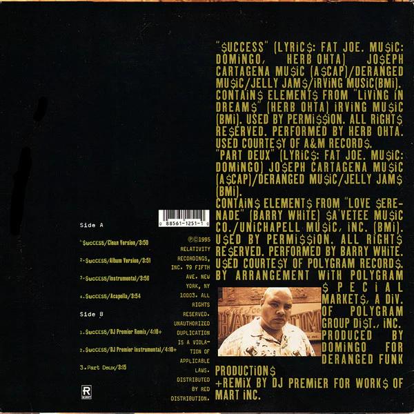 Fat Joe - Success (Vinyl) (NM or M-, NM or M-)