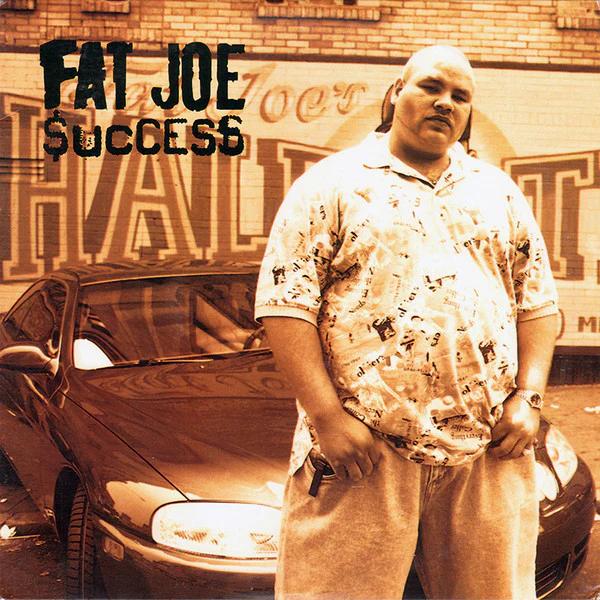 Fat Joe - Success (Vinyl) (NM or M-, NM or M-)