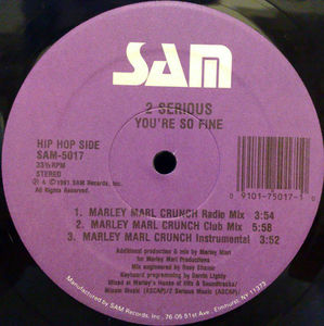 2 Serious - You're So Fine (Vinyl) (VG+, VG+)
