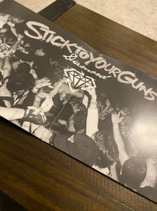 Stick To Your Guns - Diamond (Vinyl) (NM or M-, NM or M-)