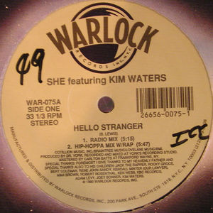 She Featuring Kim Waters - Hello Stranger (Vinyl) (NM or M-, VG+)