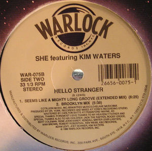 She Featuring Kim Waters - Hello Stranger (Vinyl) (NM or M-, VG+)