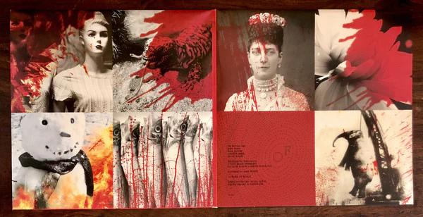 Melvins - Nude With Boots (Vinyl) (VG+, VG+)