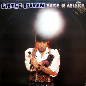 Little Steven - Voice Of America (Vinyl) (NM or M-, VG+)