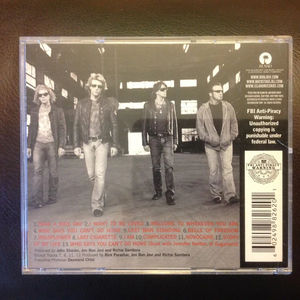 Bon Jovi - Have A Nice Day (CD) (NM or M-, VG+)