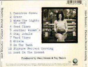 Edie Brickell - Picture Perfect Morning (CD) (NM or M-, VG+)
