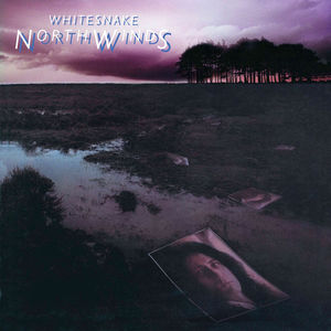 Whitesnake - NorthWinds (Rocktober 2024, Black Ice LP Vinyl, Brick & Mortar Exclusive)